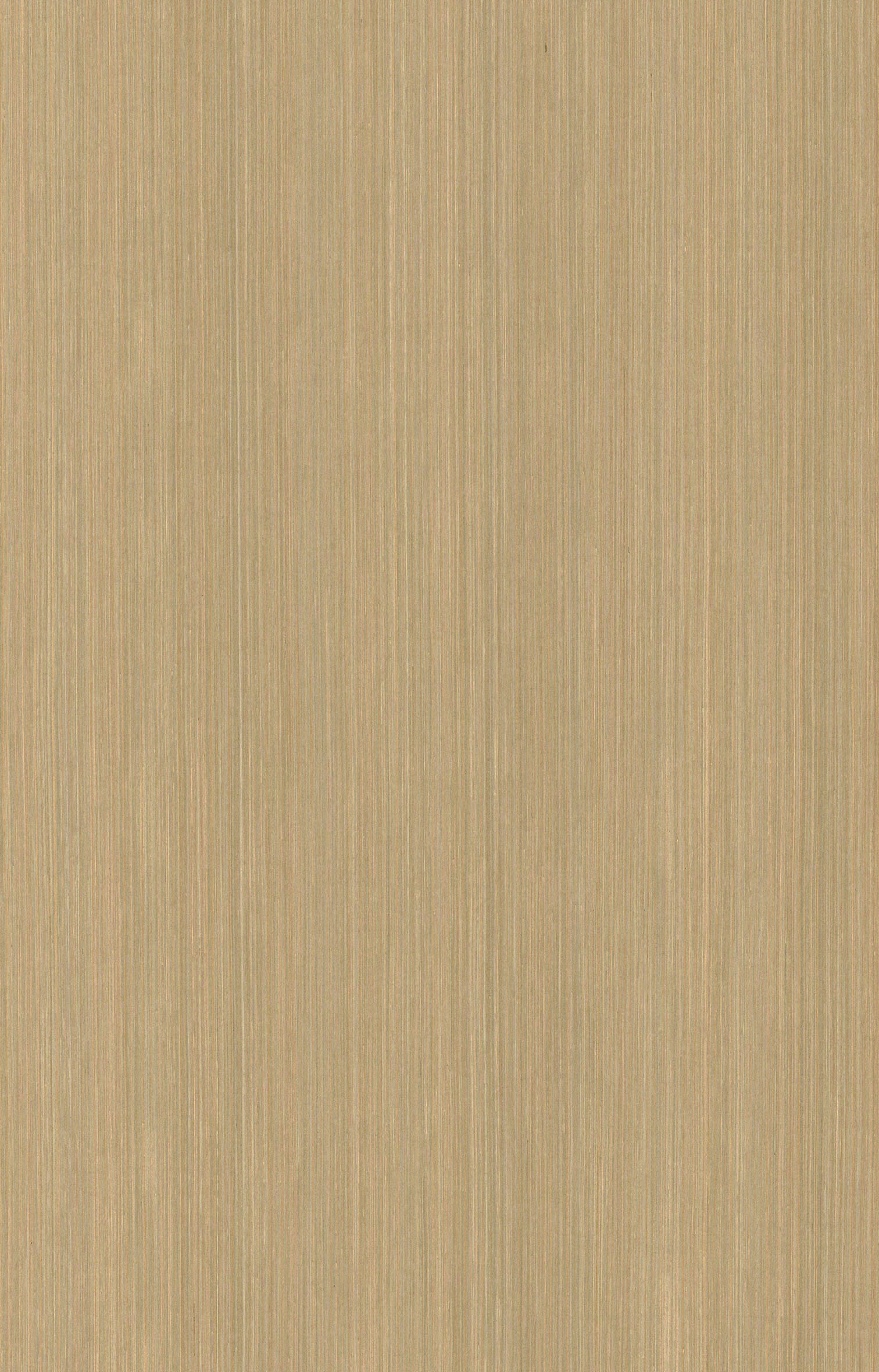 白楊木直紋6332.jpg