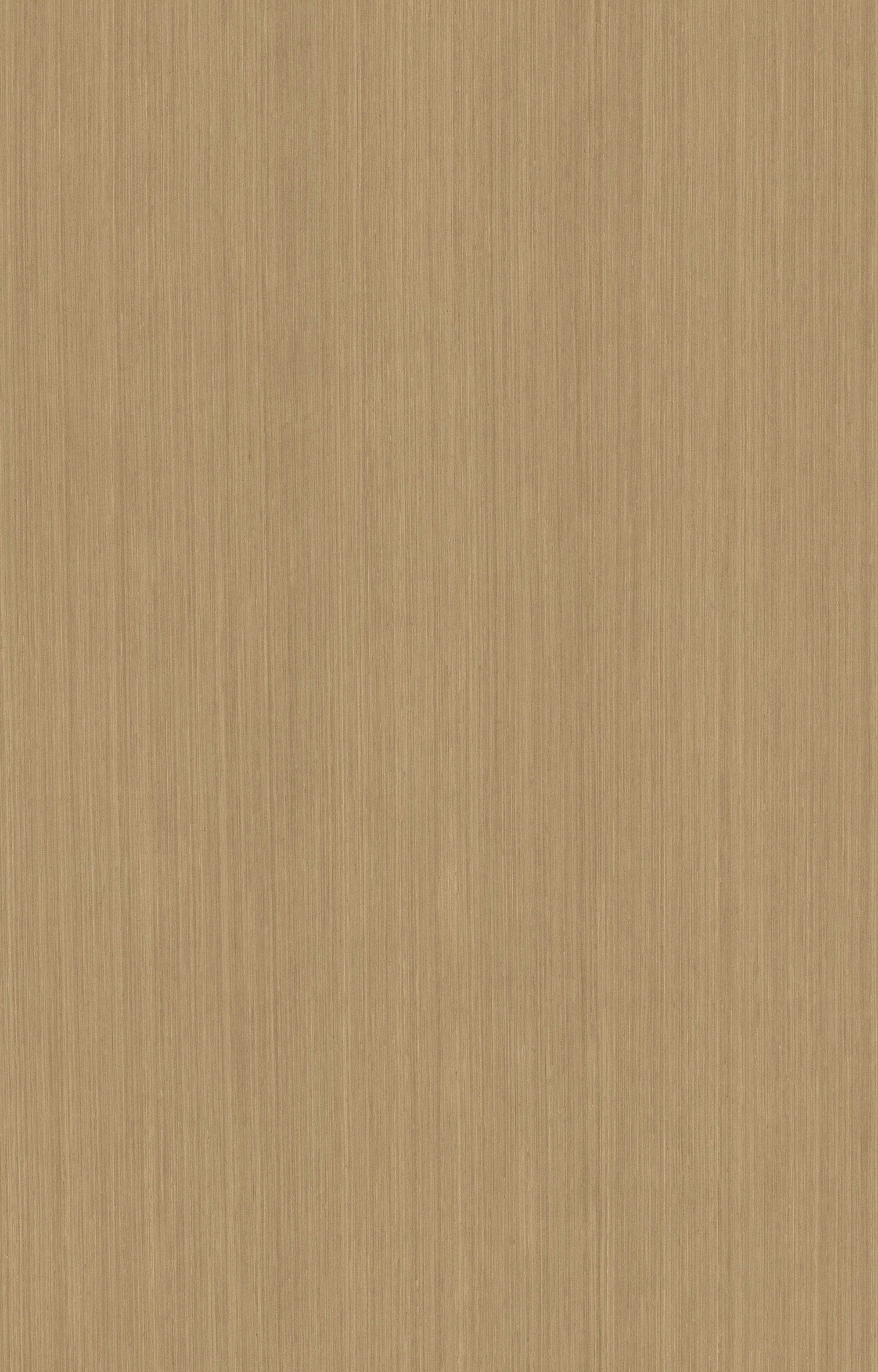 白楊木直紋6334.jpg